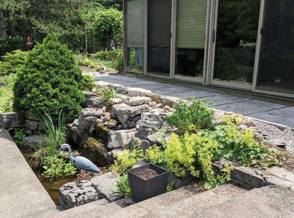 Koi pond & limestone waterfall — Peterborough