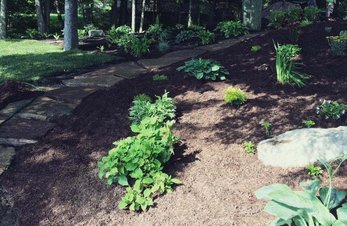 Planting & bed refresh — Buckhorn