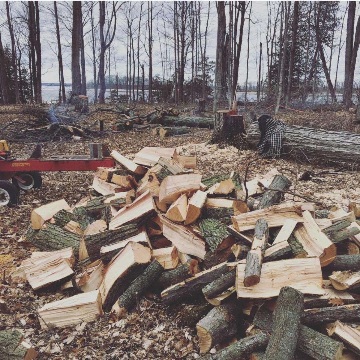 Firewood splitting & stacking — Chemong Lake